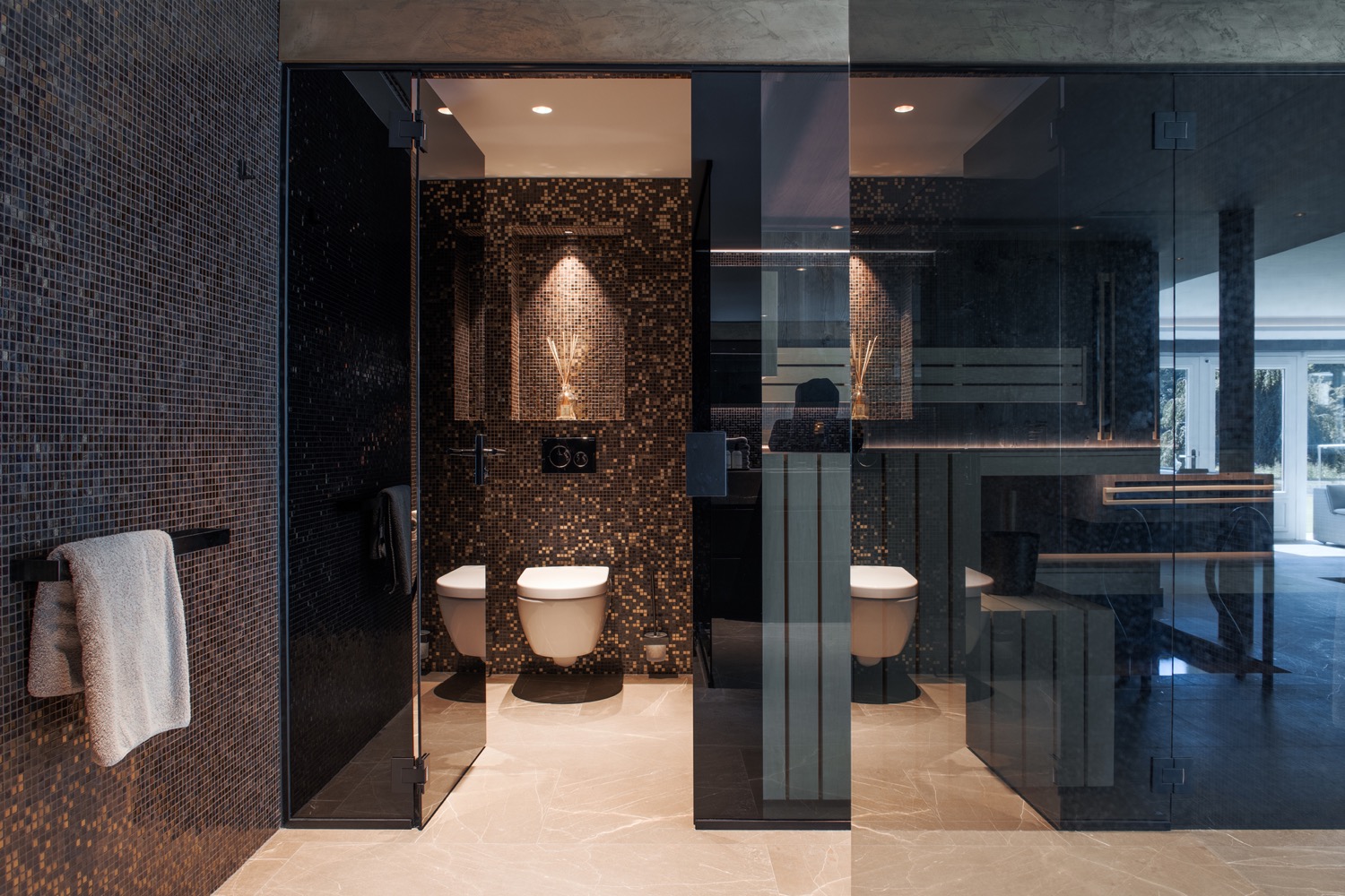 toilet in wellness