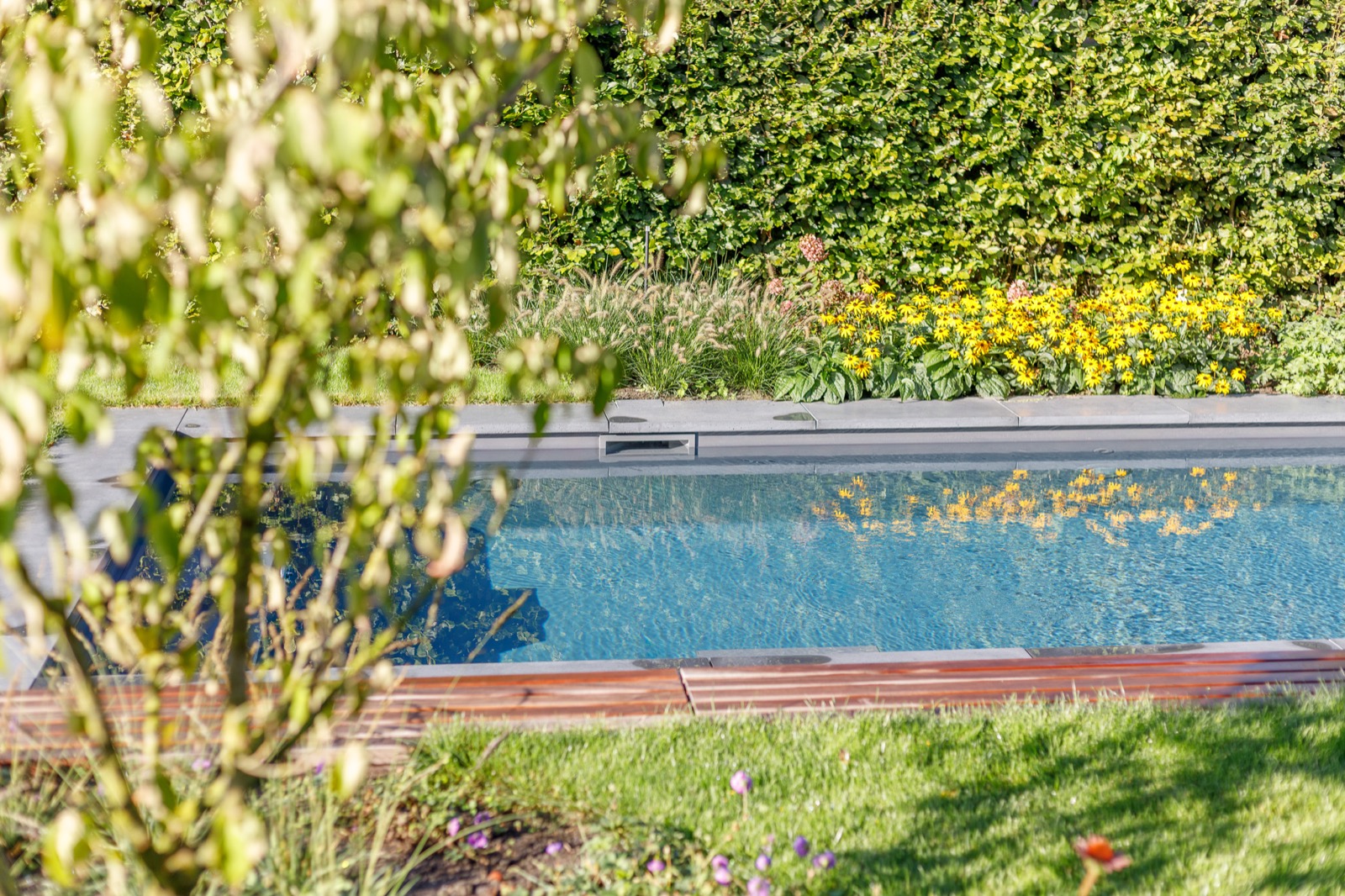 tuin met zwembad