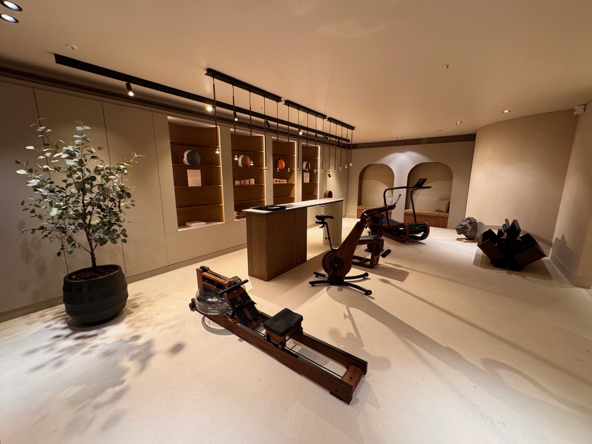 luxe fitnessruimte