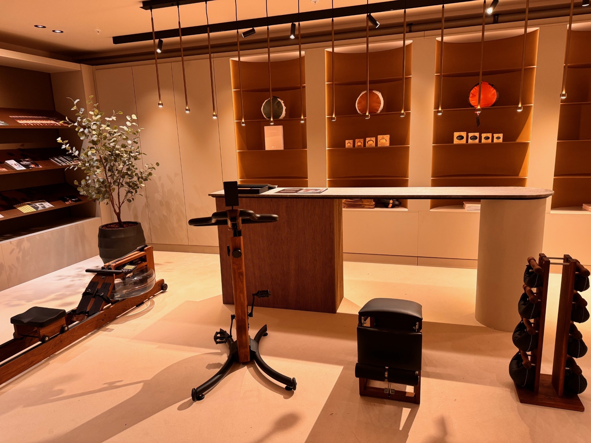 fitness