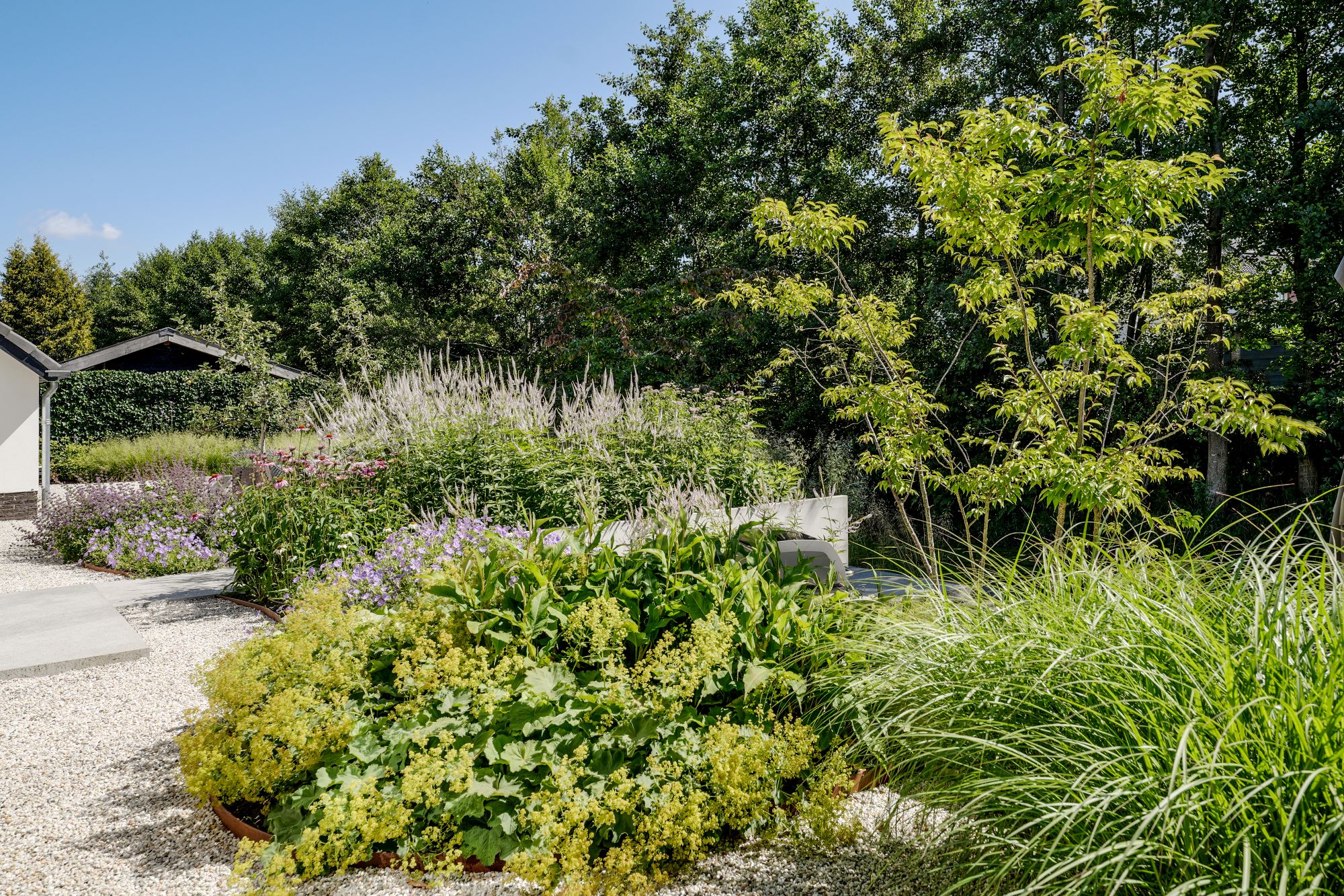 moderne groene tuin