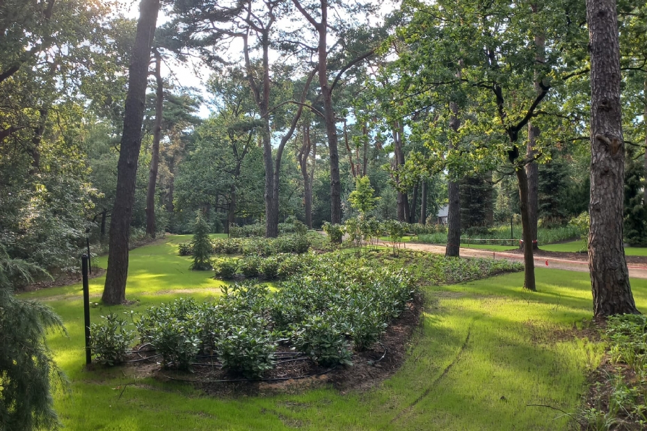 luxe rozenperken