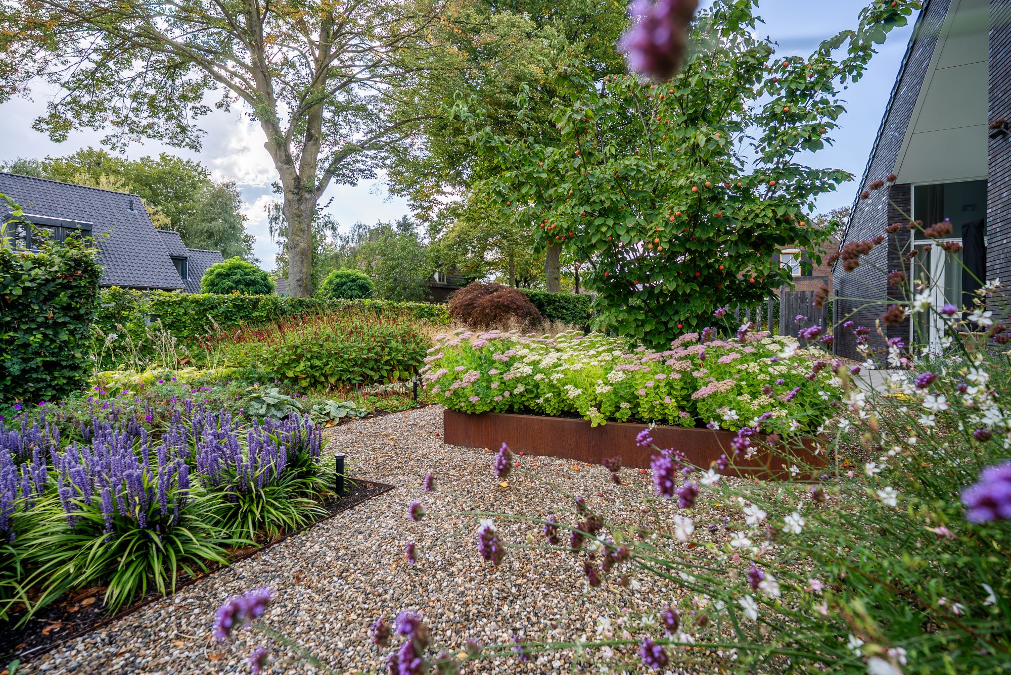 luxe planten
